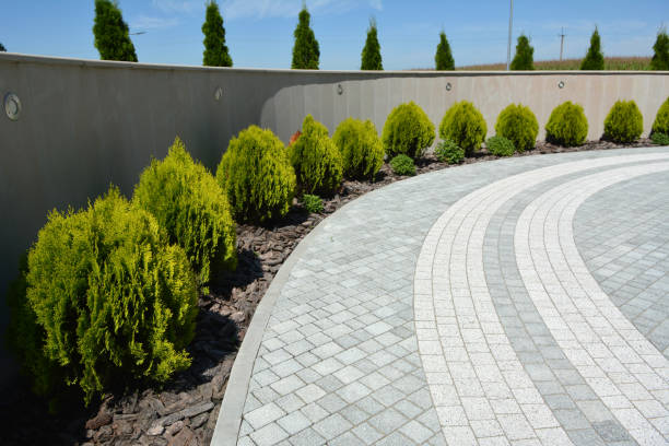Best Decorative Driveway Pavers  in Easton, CA